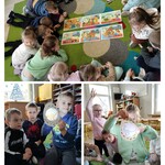 dzień dinozaura.jpg