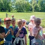 Kotki 5.jpg