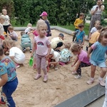 Pszczółki2.jpg