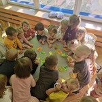 Projekt13.jpg