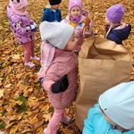 Kasztany 9.jpg