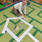 ptasia stołówka7.jpg