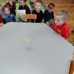 ptasia stołówka9.jpg
