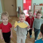 zwierzęta małe i duże.jpg