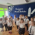 PasowanieSmerfy4.jpg