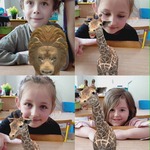 animals (1).jpg